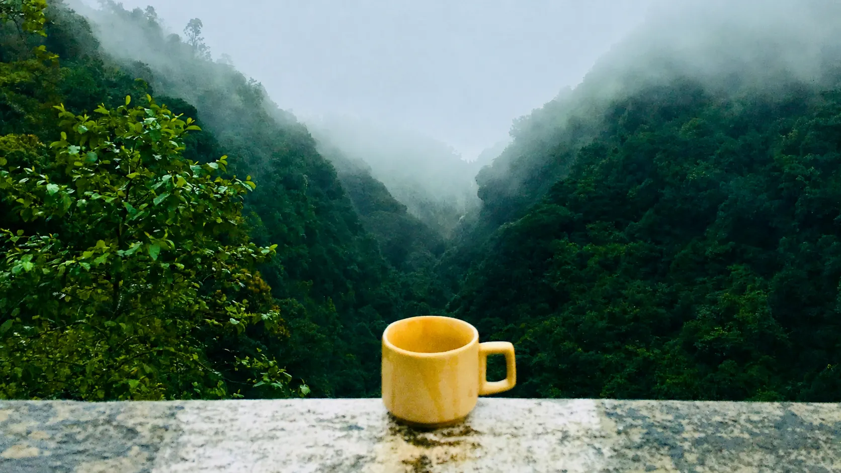 Tea, Sense & Flow
